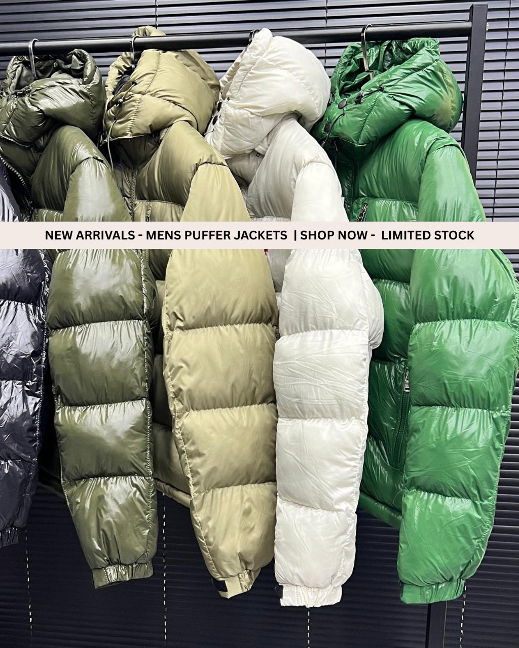 Men Puffer Hooded Jacket